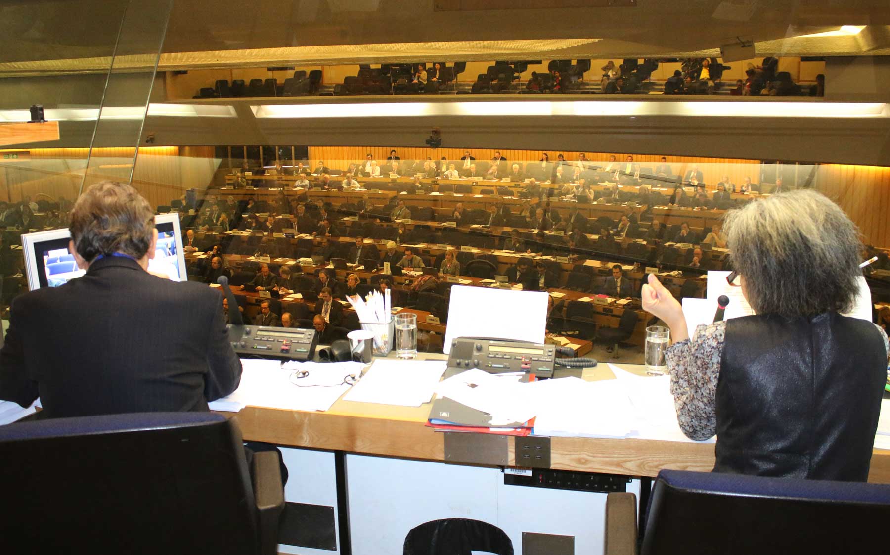 Interpreters (10).jpg