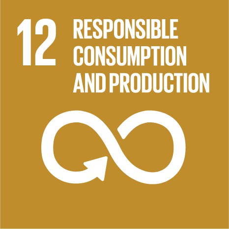 SDG12.jpg